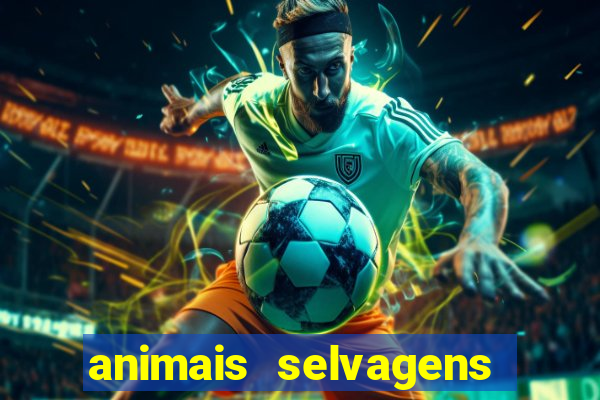 animais selvagens fotos e nomes